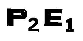 P2E1