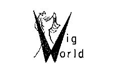 WIG WORLD