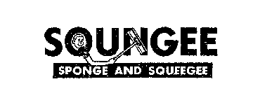 SQUNGEE SPONGE AND SQUEEGEE