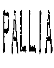 PALLIA