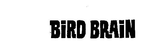 BIRD BRAIN