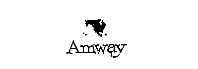 AMWAY