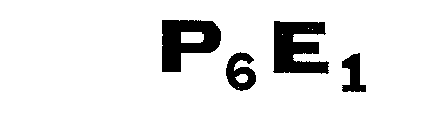 P6E1