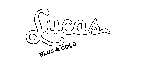 LUCAS BLUE & GOLD