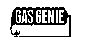 GAS GENIE