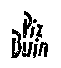 PIZ BUIN