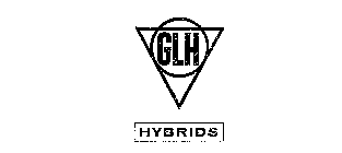 GLH HYBRIDS