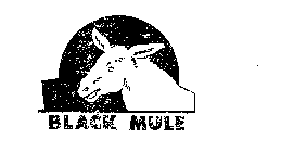 BLACK MULE