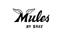 MULES BY BRAY