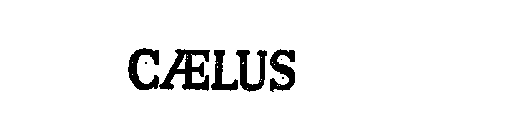 CAELUS