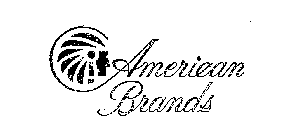 AMERICAN BRANDS