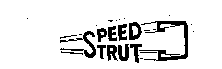 SPEED STRUT