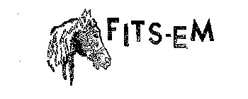 FITS-EM