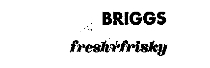 BRIGGS FRESH & FRISKY