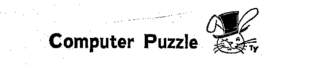 COMPUTER PUZZLE TY