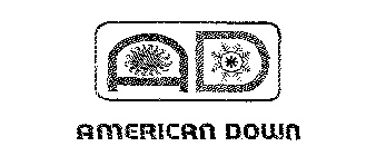 AMERICAN DOWN AD