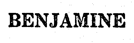 Image Trademark