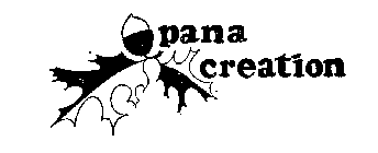 PANA CREATION