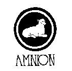 AMNION