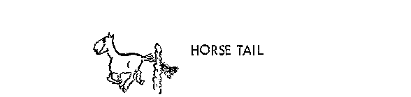 HORSE TAIL