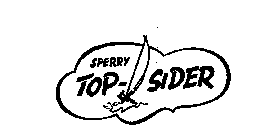 SPERRY TOP-SIDER