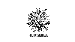 PHOTO-SYNTHESIS