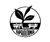 SPROUTING