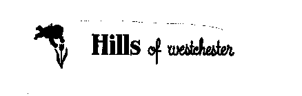 HILLS OF WESTCHESTER