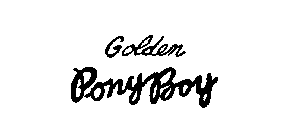 GOLDEN PONY BOY
