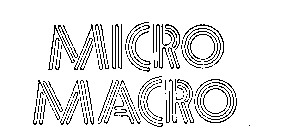 MICRO MACRO