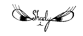 SHADY I