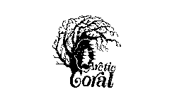 ARCTIC CORAL