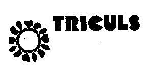 TRICULS