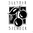 SLENDER SPENDER