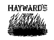 HAYWARD'S PIT