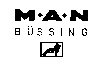 M.A.N BUSSING