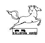 GALLOPING HORSE