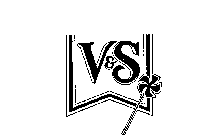 V&S