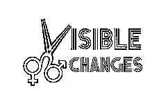 VISIBLE CHANGES