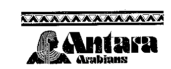 ANTARA ARABIANS