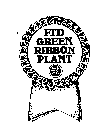 FTD GREEN RIBBON PLANT