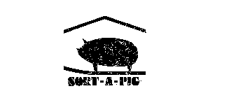 SORT-A-PIG