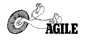 AGILE