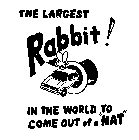 THE LARGEST RABBIT!IN THE WORLD TO COME OUT OF A 