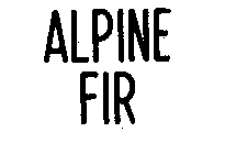 ALPINE FIR