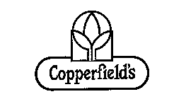 COPPERFIELD'S