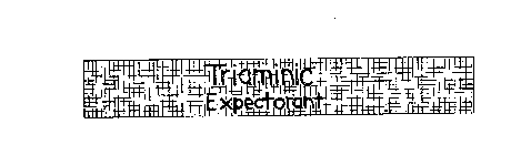 TRIAMINIC EXPECTORANT
