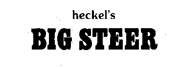 HECKEL'S BIG STEER