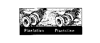 PLANTATION