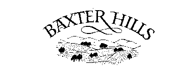 BAXTER HILLS